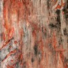 in niz bogzarad_II  2009 | Mixed media on Canvas 70x50 cm